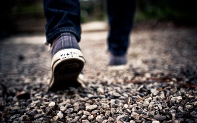 A Zona do (Sem)Forto