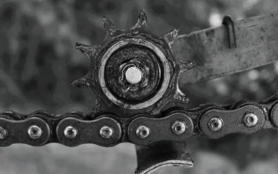 Como viver o princípio de ser discípulo nos dias de hoje?